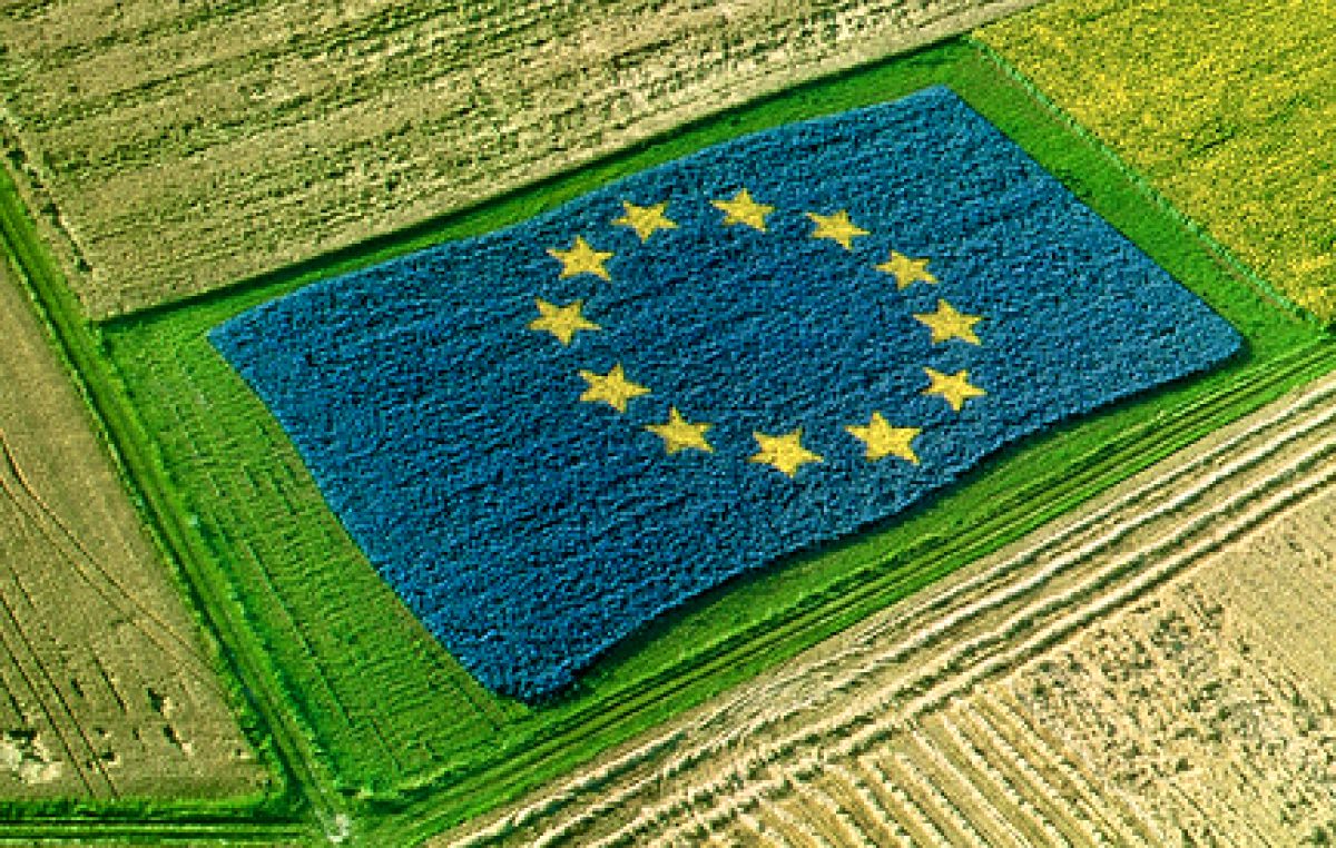 AGRICOLTURA E GREEN DEAL EUROPEO, LE PERPLESSITA’ DEGLI AGRICOLTORI