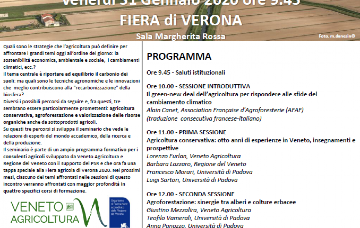 ALLA RICERCA DEL CARBONIO PERDUTO…