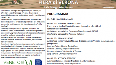 ALLA RICERCA DEL CARBONIO PERDUTO…