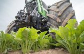2019 DA DIMENTICARE PER L’AGROALIMENTARE VENETO