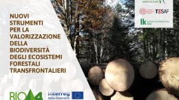 Nuovi strumenti per la valorizzazione della biodiversità degli ecosistemi forestali transfrontalieri