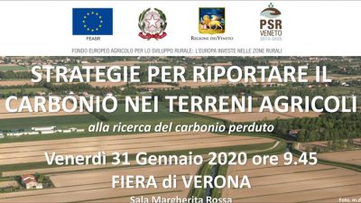 Strategie per riportare il carbonio nei terreni agricoli