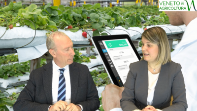 82 Radio Veneto Agricoltura – Innovation & Management LAB