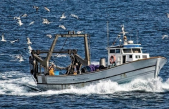 SFORZO DI PESCA IN ADRIATICO: GESTIONE SOSTENIBILE CON “ITACA”