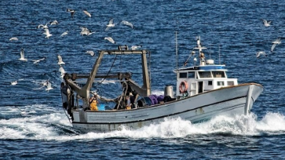 SFORZO DI PESCA IN ADRIATICO: GESTIONE SOSTENIBILE CON “ITACA”