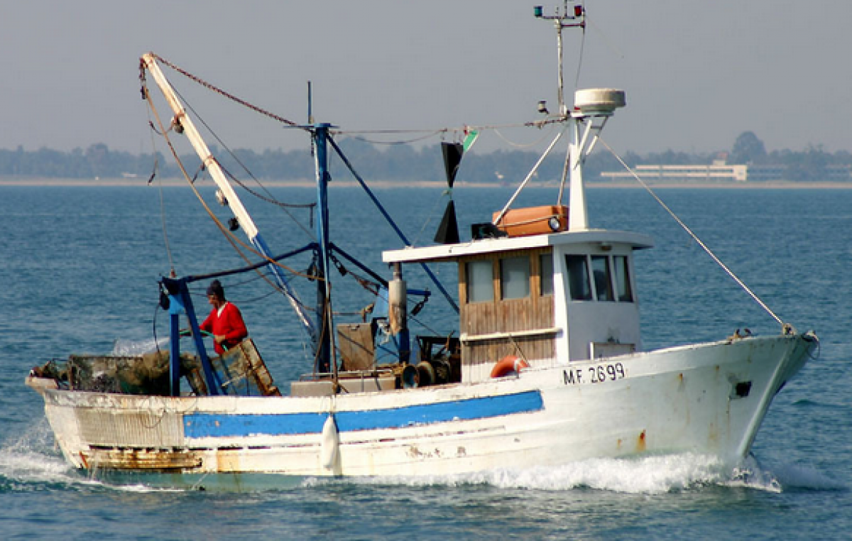 PESCE AZZURRO DELL’ADRIATICO, UN PROGETTO EUROPEO PER IL SUO MONITORAGGIO