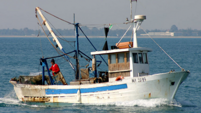 PESCE AZZURRO DELL’ADRIATICO, UN PROGETTO EUROPEO PER IL SUO MONITORAGGIO