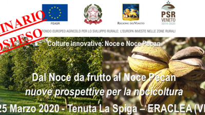 Colture innovative: Noce e Noce Pecan (cod.2A-10-20)