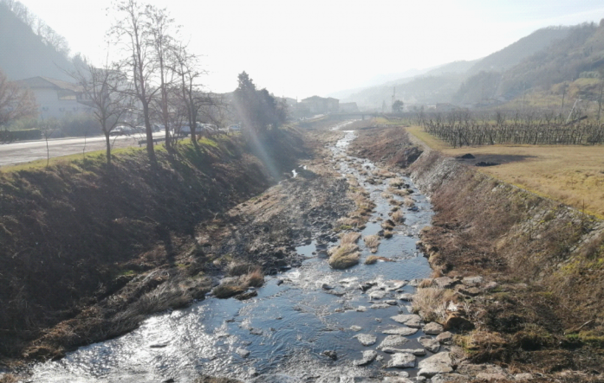 INTERVENTI SUL TORRENTE ALPONE (VR)