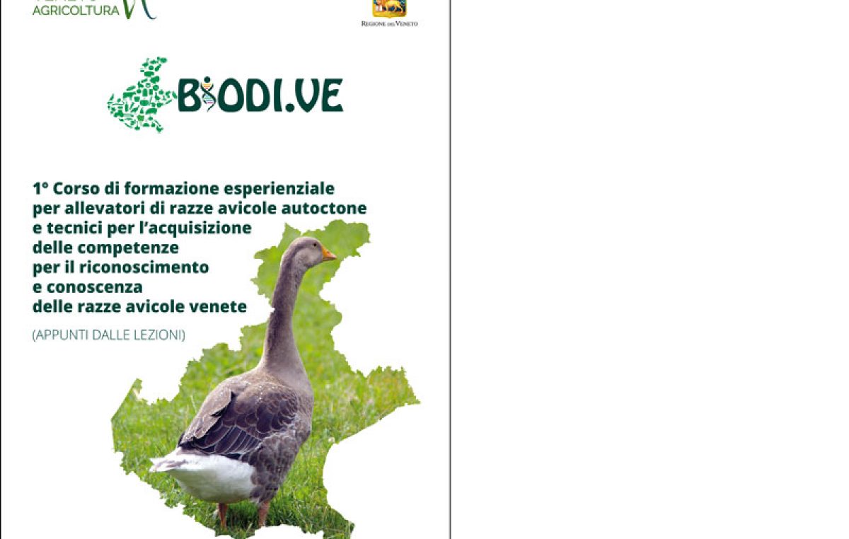 1° Corso esperienziale per allevatori di razze avicole autoctone e tecnici per l’acquisizione delle competenze per il riconoscimento e conoscenza delle razze avicole venete (Appunti dalle lezioni)