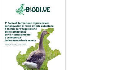 1° Corso esperienziale per allevatori di razze avicole autoctone e tecnici per l’acquisizione delle competenze per il riconoscimento e conoscenza delle razze avicole venete (Appunti dalle lezioni)