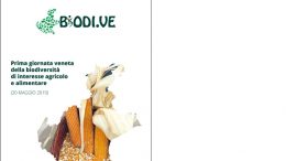 Prima Giornata veneta della biodiversità di interesse agricolo e alimentare – 20 maggio 2019