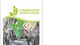 Conservation Agriculture – 8 years of experiences in Veneto Region