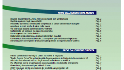 VENETO AGRICOLTURA EUROPA N. 04/2020