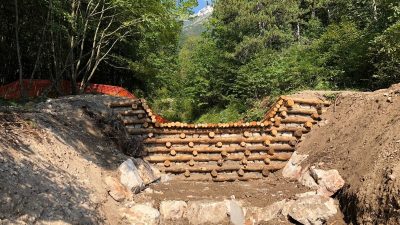 INTERVENTI DI VENETO AGRICOLTURA SUL MONTE BALDO