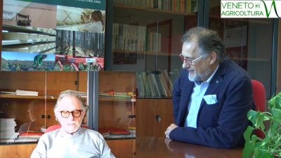 #CORONAVIRUS – RIAPRONO I CANTIERI FORESTALI