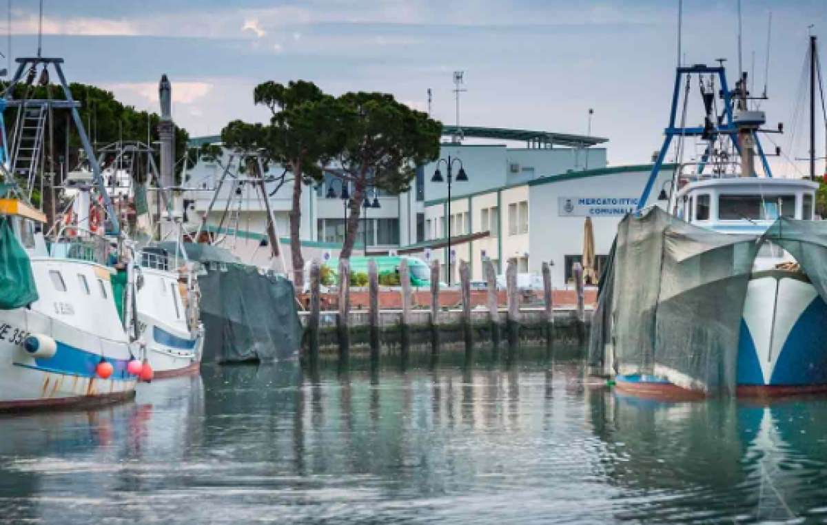 6 MIO/€ A PESCA E ACQUACOLTURA. ASSESSORE PAN, PRIORITÀ ALLE PICCOLE E MEDIE IMPRESE