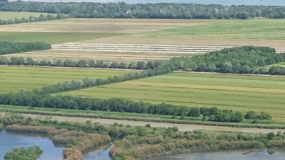 LEZIONI DA REMOTO ANCHE SULL’AGRICOLTURA SOSTENIBILE