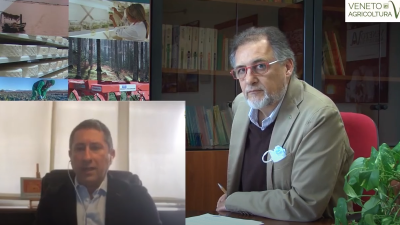 Turismo veneto, già si pensa alla fase 2