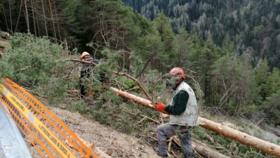 CENTRO CADORE: INTERVENTI NEI BOSCHI COLPITI DA VAIA