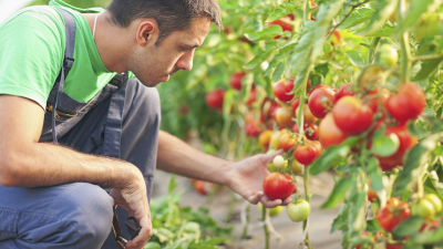 SERVE FORMAZIONE, AL VIA QUELLA “SMART” DI VENETO AGRICOLTURA