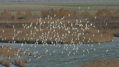 CAORLE (VE), RIAPERTO IL PARCHEGGIO DI VALLEVECCHIA-BRUSSA