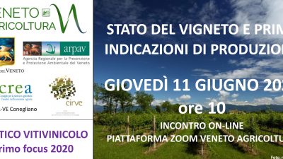 TRITTICO VITIVINICOLO – Primo focus 2020