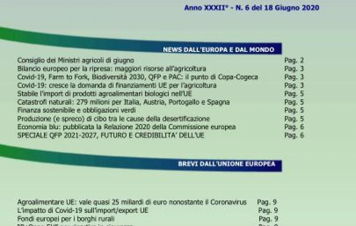 Veneto Agricoltura Europa n. 6/2020