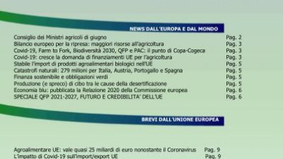 Veneto Agricoltura Europa n. 6/2020