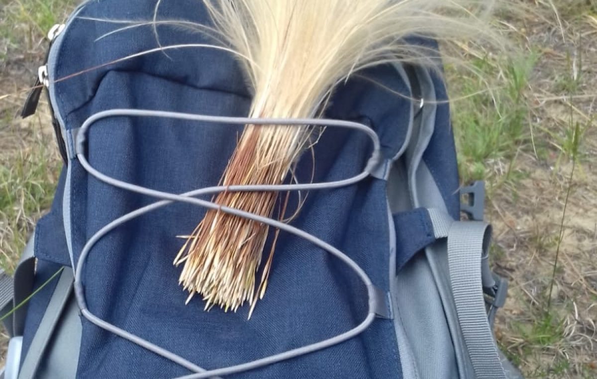 IN SOCCORSO DELLA STIPA VENETA