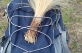 IN SOCCORSO DELLA STIPA VENETA
