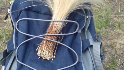 IN SOCCORSO DELLA STIPA VENETA