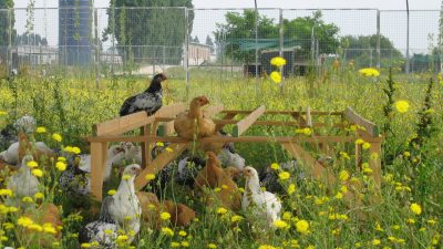 “BIONET”: UN NETWORK DELLA BIODIVERSITÀ PER CONSERVARE LE SPECIE IN PERICOLO DI ESTINZIONE
