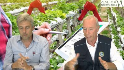 ValleVecchia, laboratorio a cielo aperto per l’agricoltura conservativa e non solo. 30 luglio ore 10:00 “Giornata Aperta” (su ZOOM)