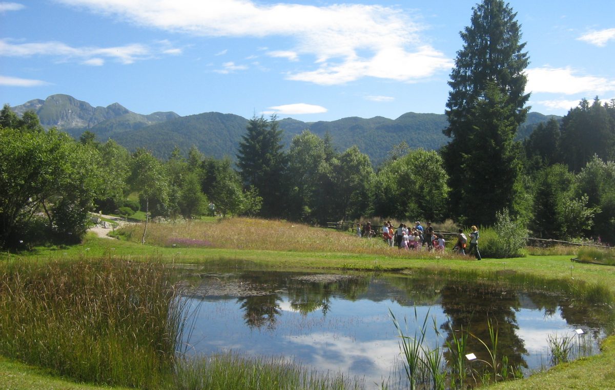 ESTATE IN CANSIGLIO: APERTI GIARDINO BOTANICO E MUC