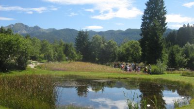 ESTATE IN CANSIGLIO: APERTI GIARDINO BOTANICO E MUC