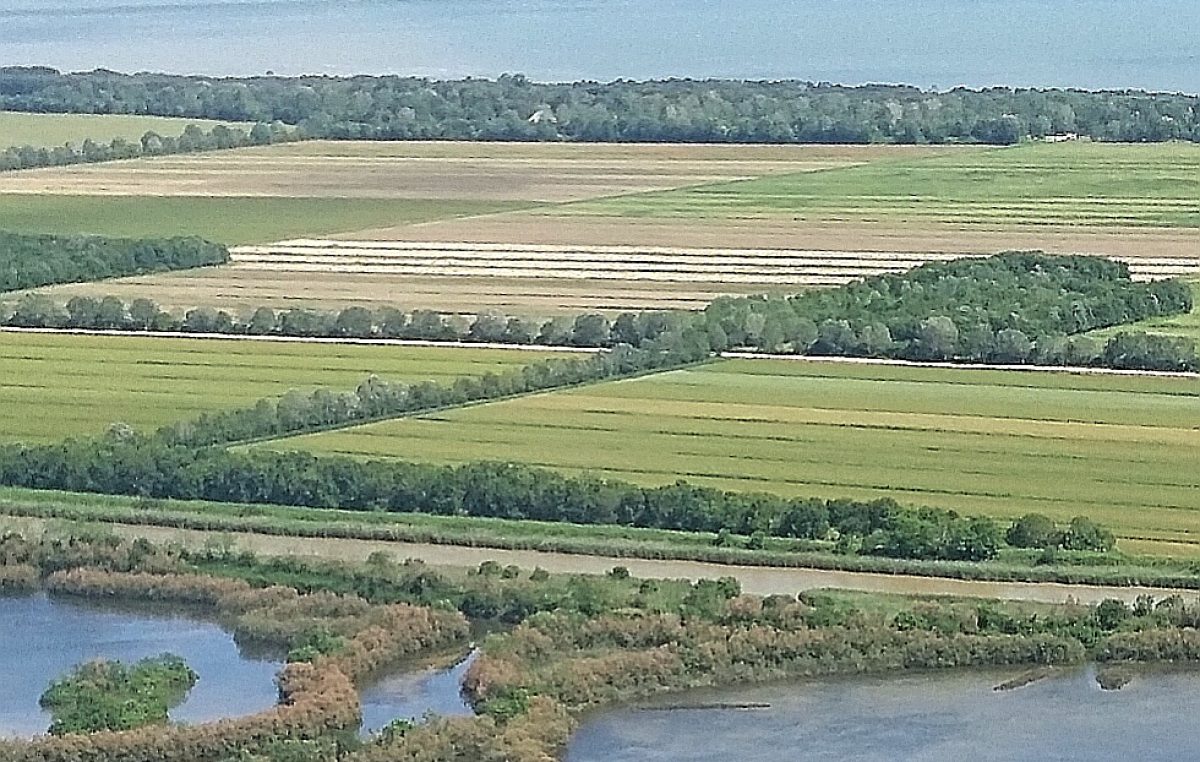 VALLEVECCHIA-CAORLE (VE): GIORNATA “APERTA” PER UN’AGRICOLTURA SEMPRE PIU’ SOSTENIBILE