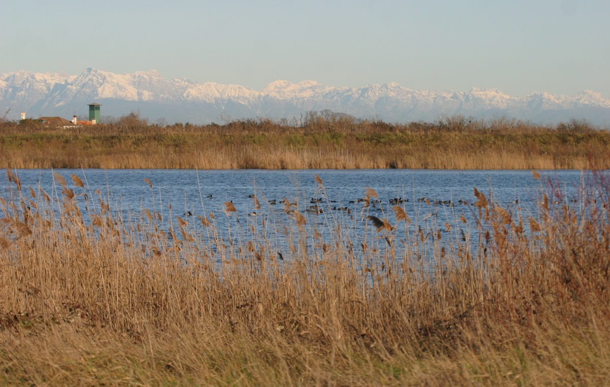ESTATE 2020: GIARDINI E AREE NATURALISTICHE DI VENETO AGRICOLTURA “APERTE”
