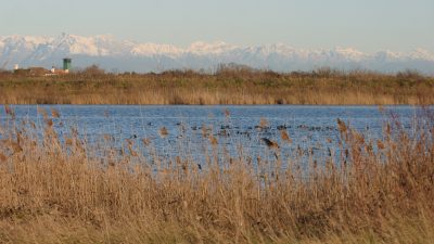 ESTATE 2020: GIARDINI E AREE NATURALISTICHE DI VENETO AGRICOLTURA “APERTE”