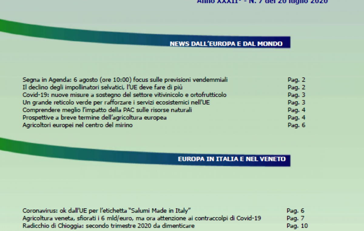 Veneto Agricoltura Europa n. 7/2020