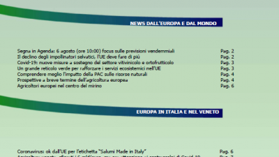 Veneto Agricoltura Europa n. 7/2020