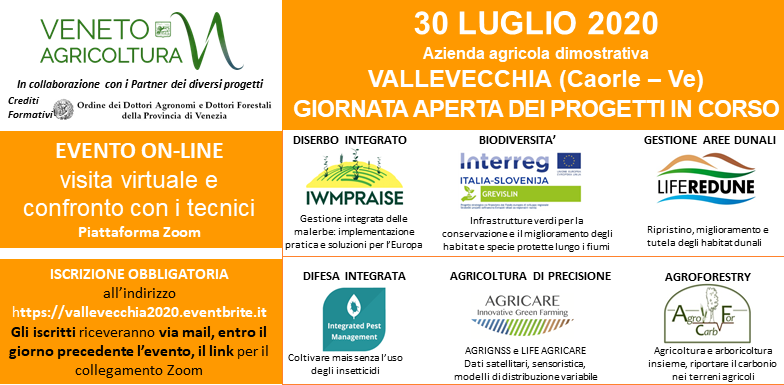 vallevecchia 30 07 20