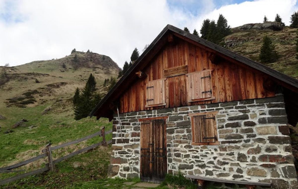FORESTA DI MALGONERA (BL): MODELLO DI RICOSTITUZIONE BOSCHIVA POST VAIA
