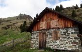 FORESTA DI MALGONERA (BL): MODELLO DI RICOSTITUZIONE BOSCHIVA POST VAIA