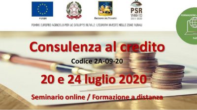 Consulenza al credito (cod.2A-09-20)