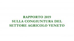 Rapporto 2019 sulla congiuntura del settore agricolo veneto
