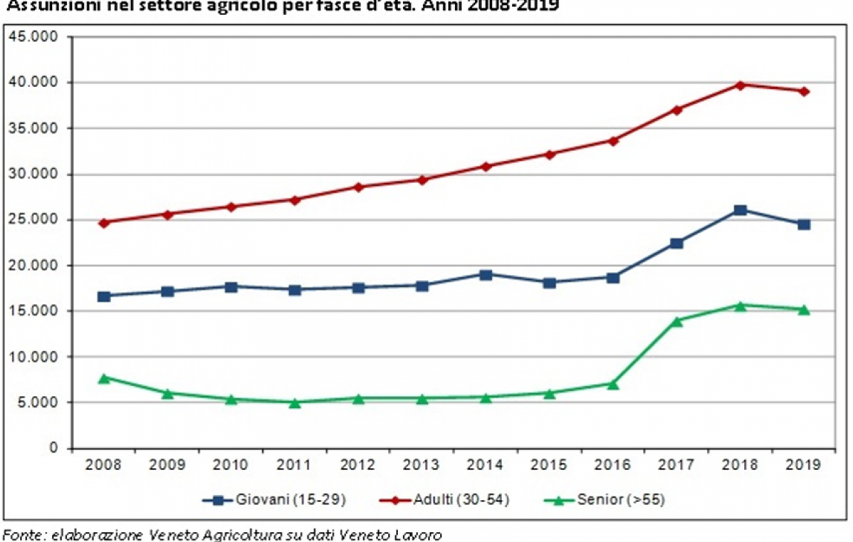 OCCUPAZIONE IN AGRICOLTURA: NEL VENETO OLTRE 67.000 LAVORATORI