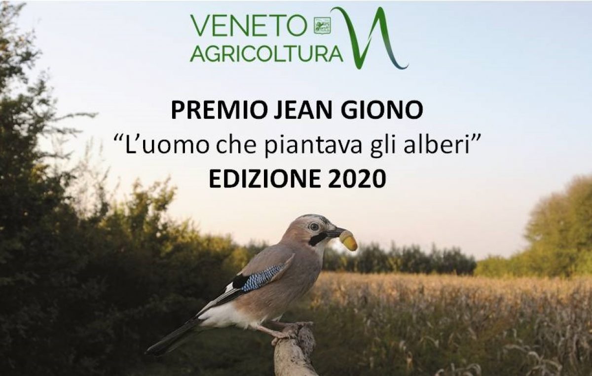 PREMIO JEAN GIONO – L’UOMO CHE PIANTAVA GLI ALBERI – EDIZIONE 2020