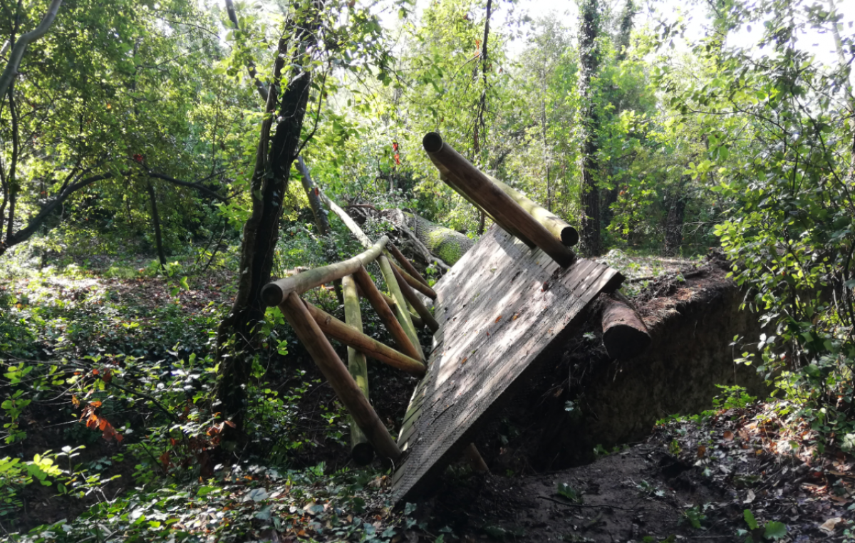 ROSOLINA (RO), TROMBA D’ARIA, DANNI AL BOSCO NORDIO ED ALLA “LAND ART”