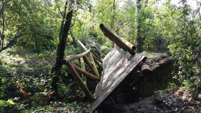 ROSOLINA (RO), TROMBA D’ARIA, DANNI AL BOSCO NORDIO ED ALLA “LAND ART”